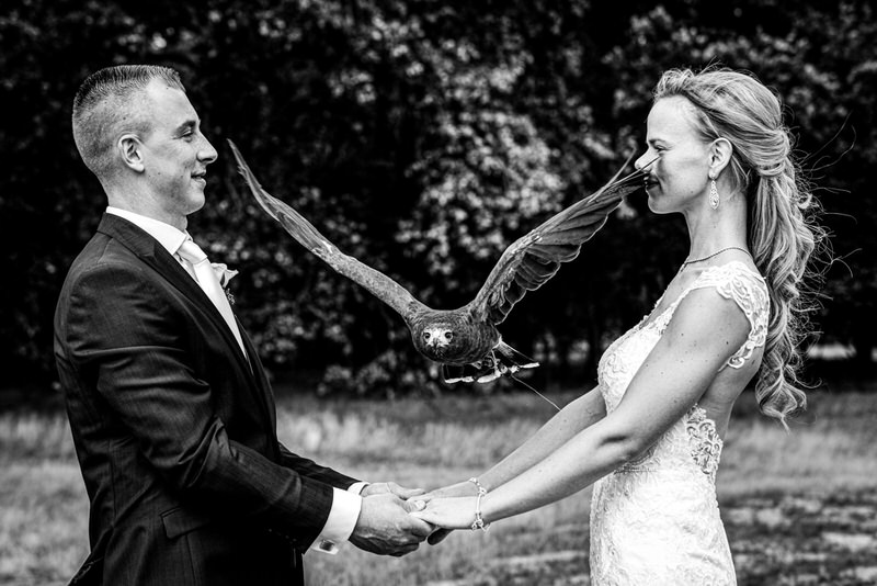 Bruidspaar - Bruidsfoto Award 2026 - Nufotograferen